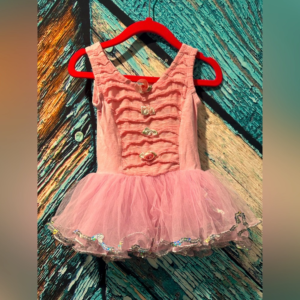 Popatu Little Girl's Roses and Sequins Ballet Dance Dress